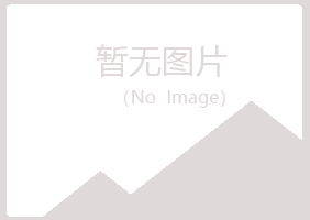 鹤山区敷衍会计有限公司